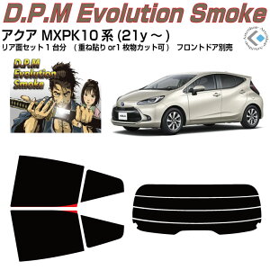 i ANA MXPK10n(21y`)Jbgς݃J[tB AZbg