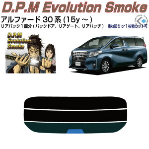 Âݍi At@[h 30n(15y`)PiJbgς݃J[tB