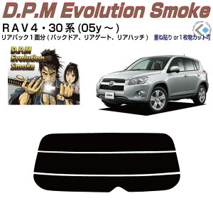 Âݍi RAV4 30n(05y`)PiJbgς݃J[tB