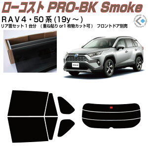  RAV4 50n(19y`)Jbgς݃J[tB AZbg