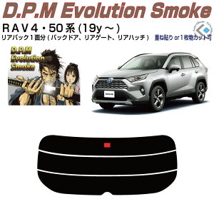 Âݍi RAV4 50n(19y`)PiJbgς݃J[tB