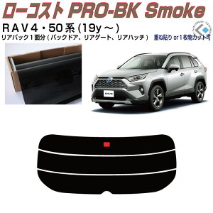 Â݌ RAV4 50n(19y`)PiJbgς݃J[tB