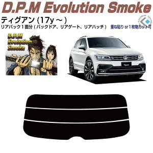 Âݍi VW eBOA(17y`)PiJbgς݃J[tB