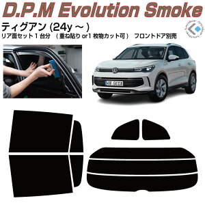 ���i VW �e�B�O�A��(24y�`)���J�b�g�ς݃J�[�t�B���� ���A�Z�b�g