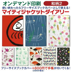 yI}PtIz蒠 2026 1n܂ DB6 }CeBWPbg_CA[ya2zm