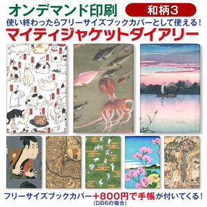 yI}PtIz蒠 2026 1n܂ DB6 }CeBWPbg_CA[ya3zm