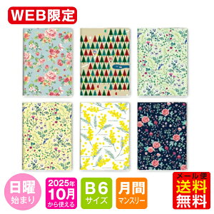 yI}PtIz蒠 WEB 2026N 1n܂ 10g B6 / }X[ jn܂ If}h_CA[-A m