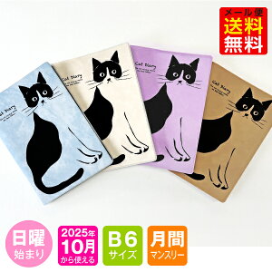 yI}PtIz蒠 2026N 1n܂ 10g MB6-˂ m