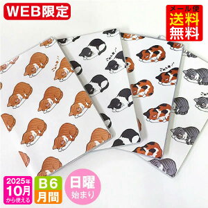 yI}PtIz蒠 WEB 2026N 1n܂ 10g B6 / }X[ jn܂ MB6-߂Q m