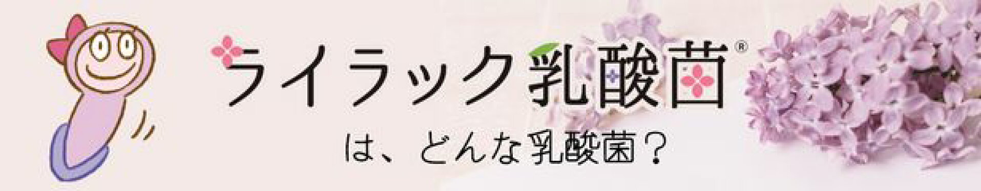 ライラック乳酸菌