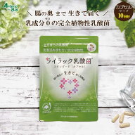 ライラック乳酸菌 スタンダード（カプセル） 10粒 （10日分）｜おならやウンチのニオイでお困りの方に｜…