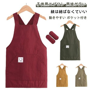 �j �G�v���� ���E�ȒP �L�b�Y �V���v�� ���w�� ������� �A�[���J�o�[�t�� ���̎q ������� X�^�G�v���� �j�̎q �q���p�G�v����