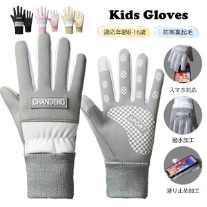 �X �X�}�z��� ���t���[�X �h�� �q���p ����~�� ���N�� �O���[�u �X�m�[ �X�L�[�O���[�u �o�C�N �W���j�A ���� �h�� �h�� ���