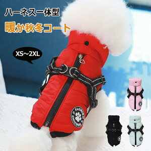 �� ���^�� ���� �R�[�g �~ �n�[�l�X��̌^ ���̕� �~ �� ���^��