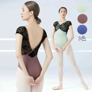 �o���G �_���X�� �V�� �o���G�p�i �o���G�_���X ��l �Ќ��_���X