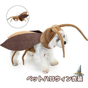 �n���E�B�� ��蕨 �X�q���� �L�p ���p ������� �R�X�`���[�� �S�L�u�� �ʔ������� �n���E�B�� �y�b�g �R�X�v���ߑ� ��������