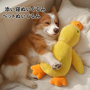 ���� �y�b�g�p �� �˂� �Ȃ��߂������� �y�b�g�p �y�b�g�p�������� �������� ���킢�� ���p�i �L�p�i �y�b�g�ʂ������ ���A�q��