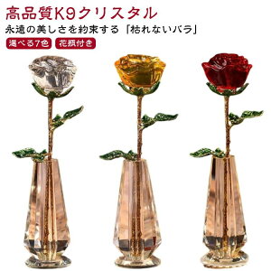 �v���[ �M�t�g �a���� �l�C ���� �C���e���A �i���̔����� ���̏ے� �o������ ���[�Y �K�N ���� ���� �͂�Ȃ��� 1�֑}�� �o����