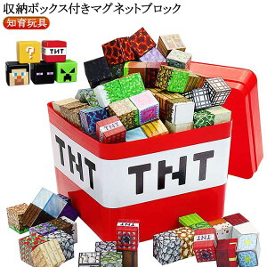 �m��ߋ� ���΃u���b�N �������� �u���b�N �}�O�l�b�g�L���[�u �}�C���N���t�g�� �}�C���N�� �}�O�l�b�g�u���b�N ���΃u���b�N