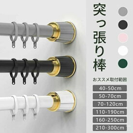 カー 調節簡単 室内 布団干し 洗濯物干し ドリル不要 物干し竿 直径3.3mm 210-300cm 強負荷 伸縮棒 強力 つっぱり棒 突っ張り棒