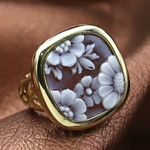 JIO C^A VFJI Ԃ̃JI JIƃoU[m Silver fUCi[YO JI ANZT[  Mtg a v[gɂIXX!! i