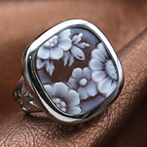 JIO C^A VFJI Ԃ̃JI JIƃoU[m Silver fUCi[YO JI ANZT[  Mtg a v[gɂIXX!! i