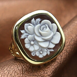 JIO C^A VFJI Ԃ̃JI JIƃoU[m Silver fUCi[YO JI ANZT[  Mtg a v[gɂIXX!! i