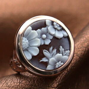 JIO C^A VFJI Ԃ̃JI JIƃoU[m Silver fUCi[YO JI ANZT[  Mtg a v[gɂIXX!! i