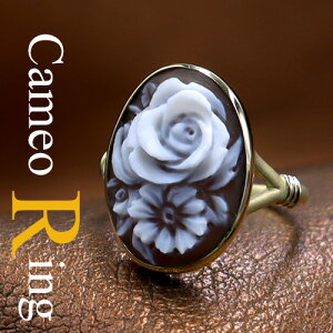 JIO 18S[h VFJI Ԃ̃JI KN JIƃ`A[mEWj[j JI ANZT[  Mtg a v[gɂœKIIiۏ؏/