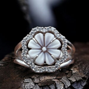 JIO fUCi[Y C^A  COA[eBXgZuɂlC Vo[ WRjAt iቿi IV JI ANZT[  Mtg a iۏ؏/J