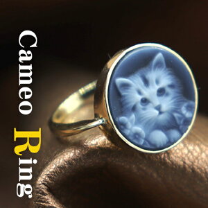 JIO mEJI 18S[hgt lR} hCc̃JI Ƃ18K̃Ogt JI ANZT[  Mtg a v[gɂœKI