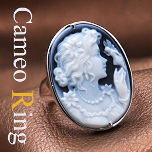 JIO YfBX lƗd mEJI Silver dOg hCc̃JI JI ANZT[  Mtg a v[gɂœKIIiۏ؏