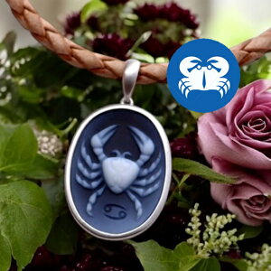 mEJIlbNX I 12 Silver cfUC iiቿi IV U[lbNXt JI ANZT[  Mtg a iۏ؏/JIfUC