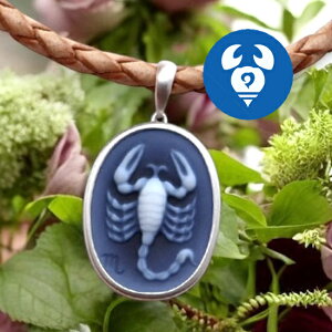 mEJIlbNX  12 Silver cfUC iiቿi IV U[lbNXt JI ANZT[  Mtg a iۏ؏/JIfUC