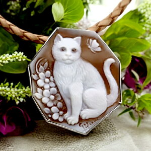 JIu[`lbNXi L lR Silvergt KI[l JǏ`fUC C^AJI JI ANZT[  Mtg a v[g iۏ؏