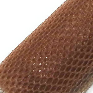�P�F���`���[���i512)