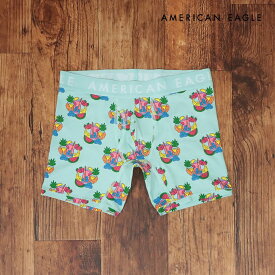 AMERICAN EAGLE ボクサートランクス 0235-3960 フルーツ プリント かわいい 遊び心 下着 ポップ 20代 30代 メンズ ファッション【ih192-2190TAF】