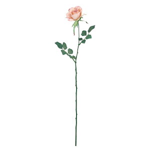 �~�V�F�����[�Y(�A���e�B�[�N�N���[���s���N) FLS-0713-ANCRPK�^���� �A�[�g�t�����[ �o�� �s���N�t�F�C�N �������