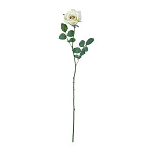 �~�V�F�����[�Y(���C���O���[��) FLS-0713-LIME�^���� �A�[�g�t�����[ �o�� �΃t�F�C�N �������