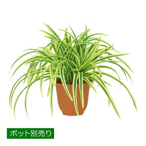 �h���Z�i�u�b�V��(�C�G���[/�O���[��) LEB-8045-YL-GR�^�t�F�C�N�O���[�� �l�H�ϗt�A�� ���A�� �C���e���A