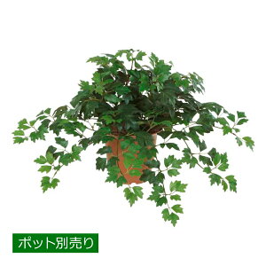 �_�j�J�u�b�V�� LEB-8049�^�t�F�C�N�O���[�� �l�H�ϗt�A�� ���A�� �C���e���A