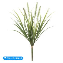 楽天市場】光触媒人工観葉植物 キャットテールグラスの通販