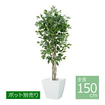 楽天市場】フィカスブランチツリー 1．7の通販