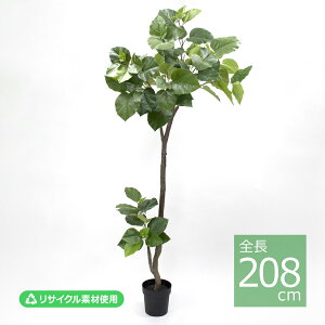 �E���x���[�^�|�b�g(�g����)/208cm VR22013-024�^�l�H�ϗt�A�� �t�F�C�N�O���[�� �G�R�f�� �C���e���A