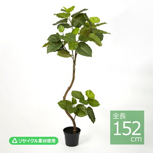 �c�C�X�g�E���x���[�^�|�b�g/152cm VR22022-024�^�l�H�ϗt�A�� �t�F�C�N�O���[�� �G�R�f�� �C���e���A