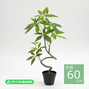 �X�p�C�����p�L���|�b�g(S)/60cm VR24050-024�^�l�H�ϗt�A�� �t�F�C�N�O���[�� �G�R�f�� �C���e���A