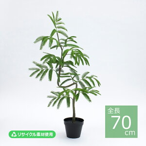 �X�p�C�����G�o�[�t���b�V���|�b�g(S)/70cm VR24052-024�^�l�H�ϗt�A�� �t�F�C�N�O���[�� �G�R�f�� �C���e���A