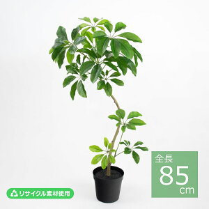 �V�F�t�����|�b�g(S)/85cm VR26004-024�^�l�H�ϗt�A�� �t�F�C�N�O���[�� �G�R�f�� �C���e���A