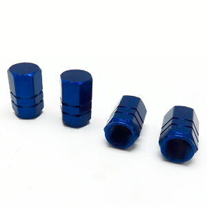 [։ GAouLbv  oCN u[ BLUE 4 At@ DS-72