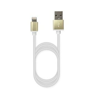 JV USB[d&P[u 1.2m 2.4A LN GD-AL iPod iPhone iPad f[^] MFiFؕi S[h KL-38